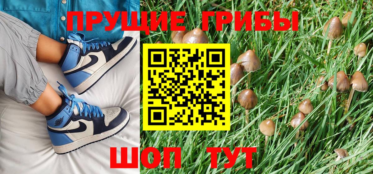 Кохма  Псилоцибиновые грибы Cubensis  Вход с VPN  Галлюциногенные грибы GOLDEN TEACHER 